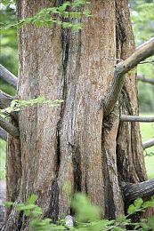 《机械战警：暴戾都市》Xbox合作伙伴预览会新视频